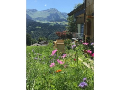 Holiday apartment Nest - Environment photo 27