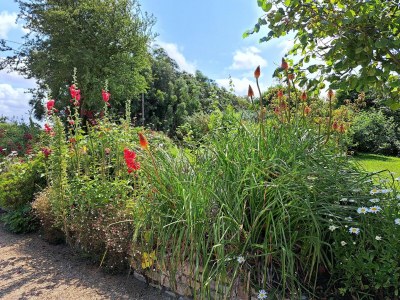 Holiday house Holiday home in Sibiril near sandy beaches - Outdoor photo 4