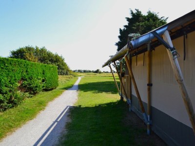 Holiday house Safari Tent in Netherlands near Dunes & Sea - Outdoor photo 6