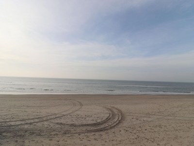 Holiday house Safari Tent in Netherlands near Dunes & Sea - Environment photo 13