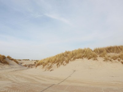 Holiday house Safari Tent in Netherlands near Dunes & Sea - Environment photo 18