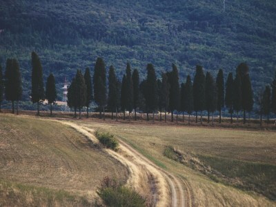 Holiday house Casabella Holiday Home - with Private Pool near the Town - Environment photo 34