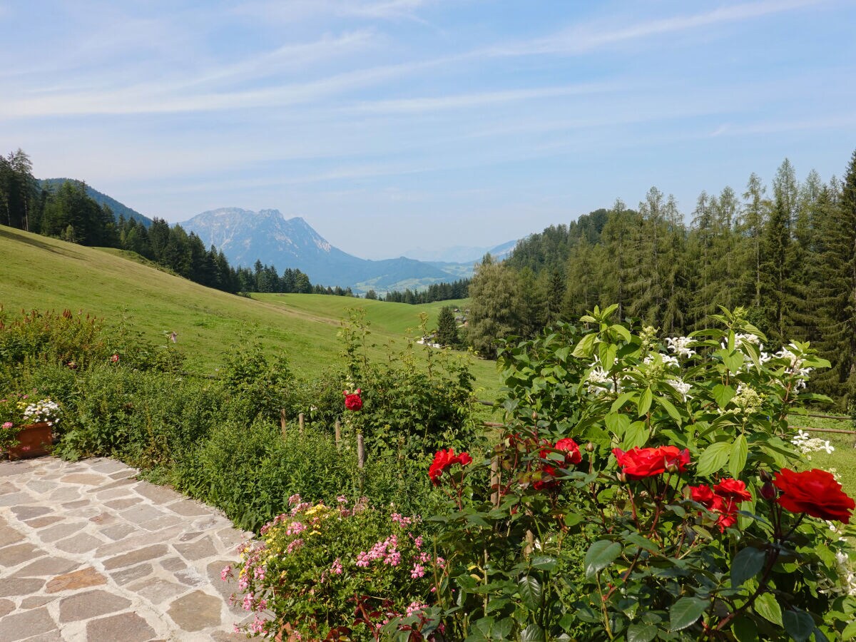 Chalet Ausseerland Jagdhaus (Hunting Lodge) - Outdoor photo 2