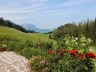 Chalet Ausseerland Jagdhaus (Hunting Lodge) - Outdoor photo 2