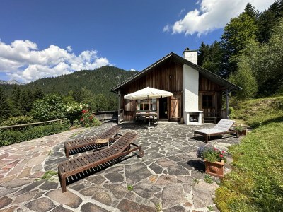 Chalet Ausseerland Jagdhaus (Hunting Lodge) - Outdoor photo 5