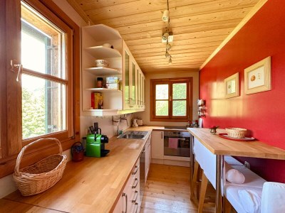 Chalet Ausseerland Jagdhaus (Hunting Lodge) - Features photo 8