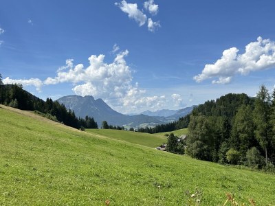 Chalet Ausseerland Jagdhaus (Hunting Lodge) - Environment photo 15