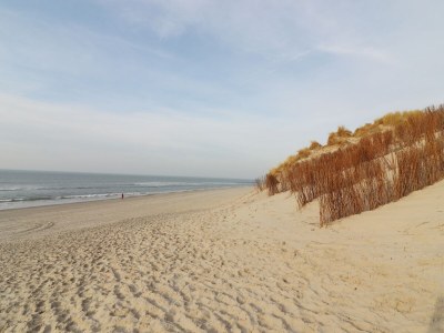Chalet Schönes Chalet zwischen Golfplatz und Strand - Environment photo 17