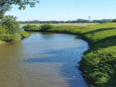 Apartment Apartment mit Balkon, Neuss - Environment photo 26