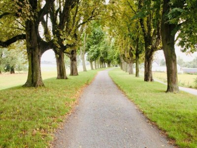 Apartment Apartment mit Balkon, Neuss - Environment photo 33