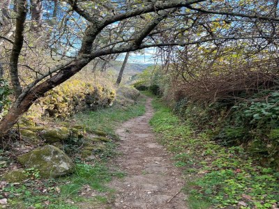 Holiday house Schöne Villa in der Nähe von Village des Vans - Environment photo 38