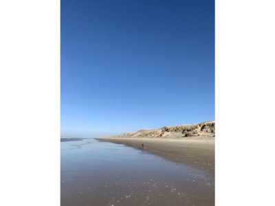 Villa Resort Duynzicht - HuisnummerVier - Environment photo 34