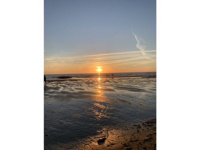 Villa Resort Duynzicht - HuisnummerVier - Environment photo 35