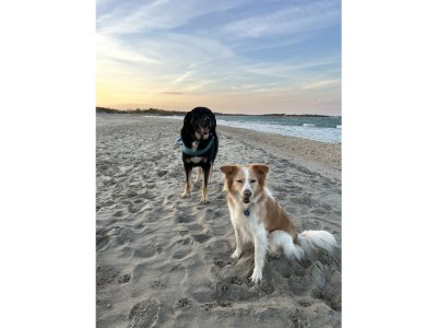 Holiday house Enjoy your stay at Casa Pippo. - Environment photo 33