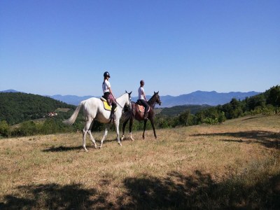 Farmhouse Tranquil Farmhouse in Umbria - Environment photo 38