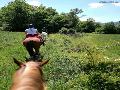 Farmhouse Tranquil Farmhouse in Umbria - Environment photo 39