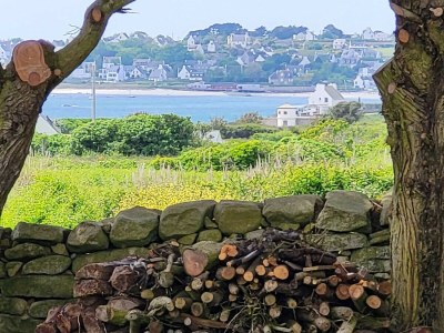 Holiday house 712-Maison Bretonne sea view 300m from the beach - Environment photo 31