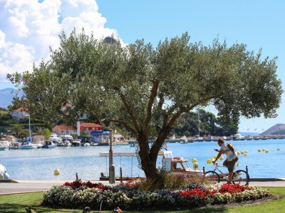 Apartment Apartments Makaus - Studio apartment  A2 - Environment photo 16