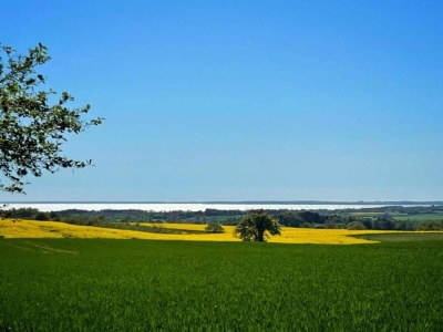 Holiday house Charming Fisherman's Cottage - By Traum Ferienwohnungen - Outdoor photo 13