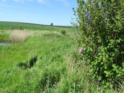 Holiday house Charming Fisherman's Cottage - By Traum Ferienwohnungen - Outdoor photo 18
