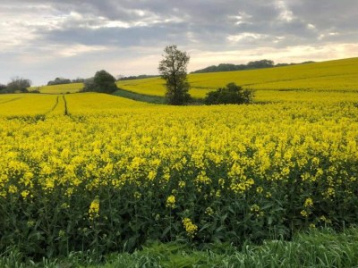 Holiday house Charming Fisherman's Cottage - By Traum Ferienwohnungen - Outdoor photo 19