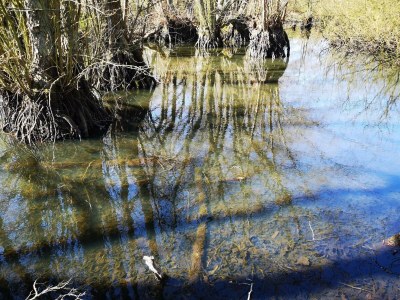 Holiday house Charming Fisherman's Cottage - By Traum Ferienwohnungen - Outdoor photo 22
