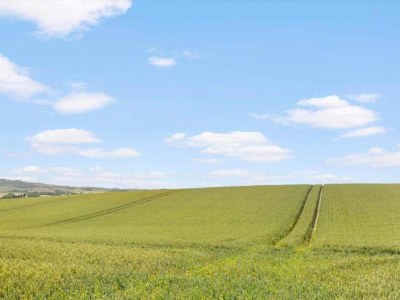 Holiday house Charming Fisherman's Cottage - By Traum Ferienwohnungen - Outdoor photo 28