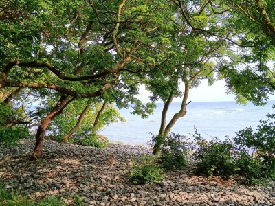 Holiday house Charming Fisherman's Cottage - By Traum Ferienwohnungen - Outdoor photo 31