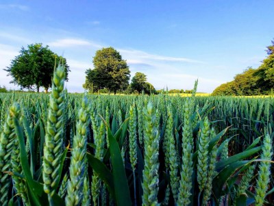 Holiday house Charming Fisherman's Cottage - By Traum Ferienwohnungen - Outdoor photo 32