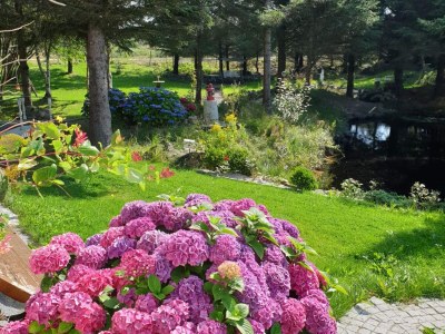 Holiday house 8 Personen Ferienhaus in skudeneshavn-By Traum - Outdoor photo 18