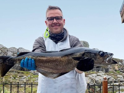 Holiday house 8 Personen Ferienhaus in skudeneshavn-By Traum - Outdoor photo 29