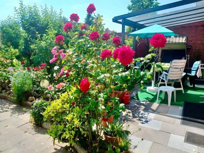 Holiday park Haus-Nr: DNS07086-P - Outdoor photo 7