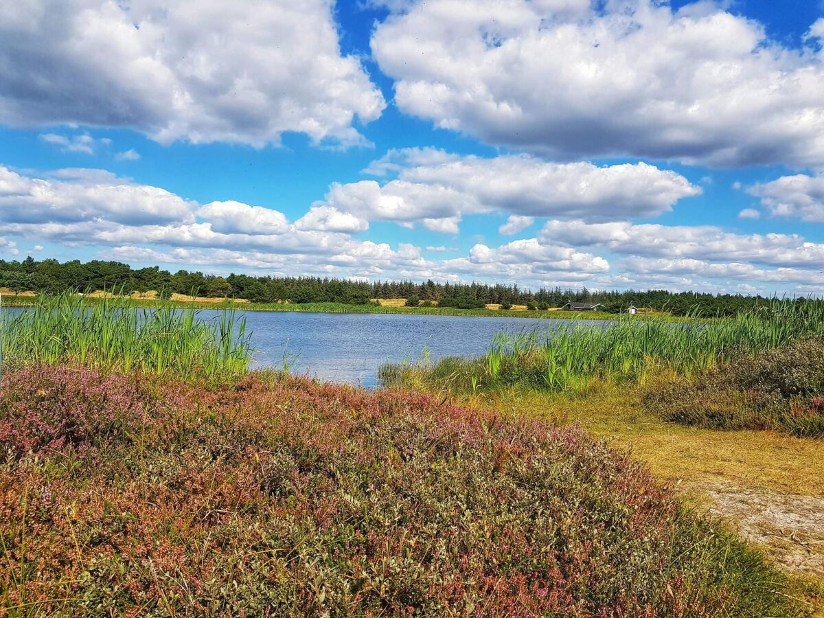 Holiday house 10 person holiday home in Oksbøl-By Traum - Outdoor photo 4