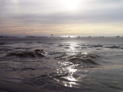 Holiday house 10 person holiday home in Oksbøl-By Traum - Outdoor photo 12