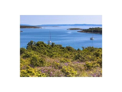 Cottage Capadinka House - Environment photo 21