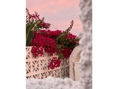 Holiday house Casa Marzo - Outdoor photo 11