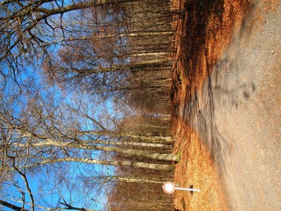 Apartment 3-Bett-Wohnung - Outdoor photo 17