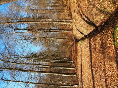 Apartment 3-Bett-Wohnung - Outdoor photo 19