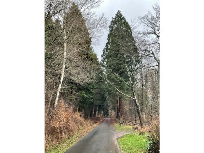 Apartment 3-Bett-Wohnung - Outdoor photo 20