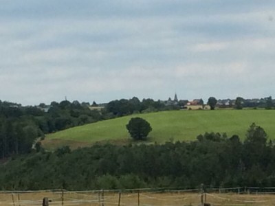 Apartment 2-Bett-Ferien-Appartement Dusche/WC, neuwertig - Features photo 16