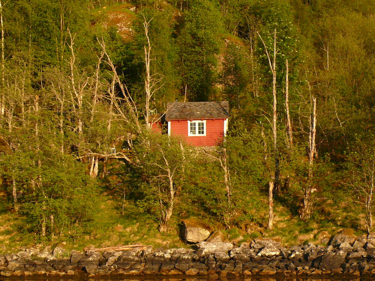 Chalet Cabin by the fjord - Outdoor photo 3