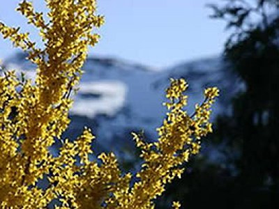 Chalet Cabin by the fjord - Environment photo 16