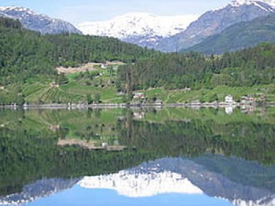 Chalet Cabin by the fjord - Environment photo 18