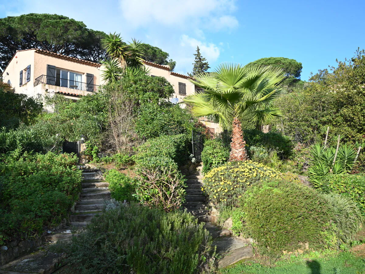 Holiday apartment H61