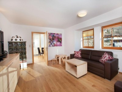 Holiday park Wohnung Wald im Pinzgau beim Skilift - Features photo 21