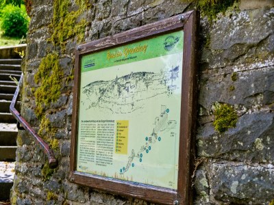 Bungalow Feusdorf Forest Bungalow - Outdoor photo 39