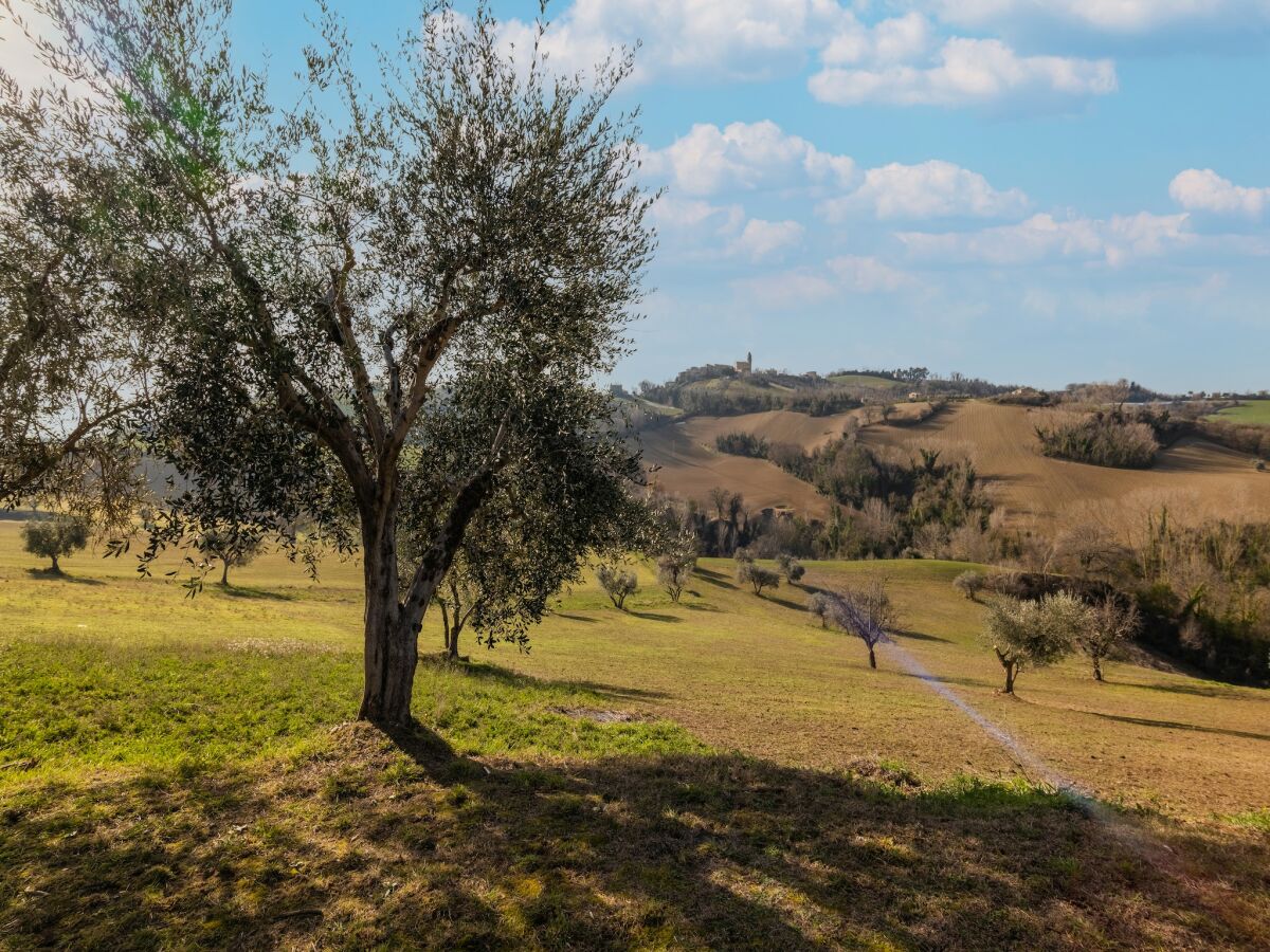 Holiday house Belvilla by OYO Villa Francesca - Outdoor photo 3