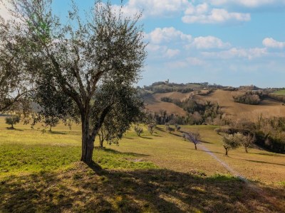 Holiday house Belvilla by OYO Villa Francesca - Outdoor photo 3