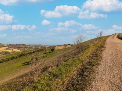 Holiday house Belvilla by OYO Villa Francesca - Environment photo 35