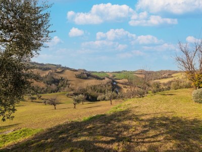 Holiday house Belvilla by OYO Villa Francesca - Environment photo 39